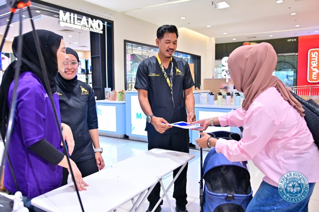 dr meow event 1 pic 7