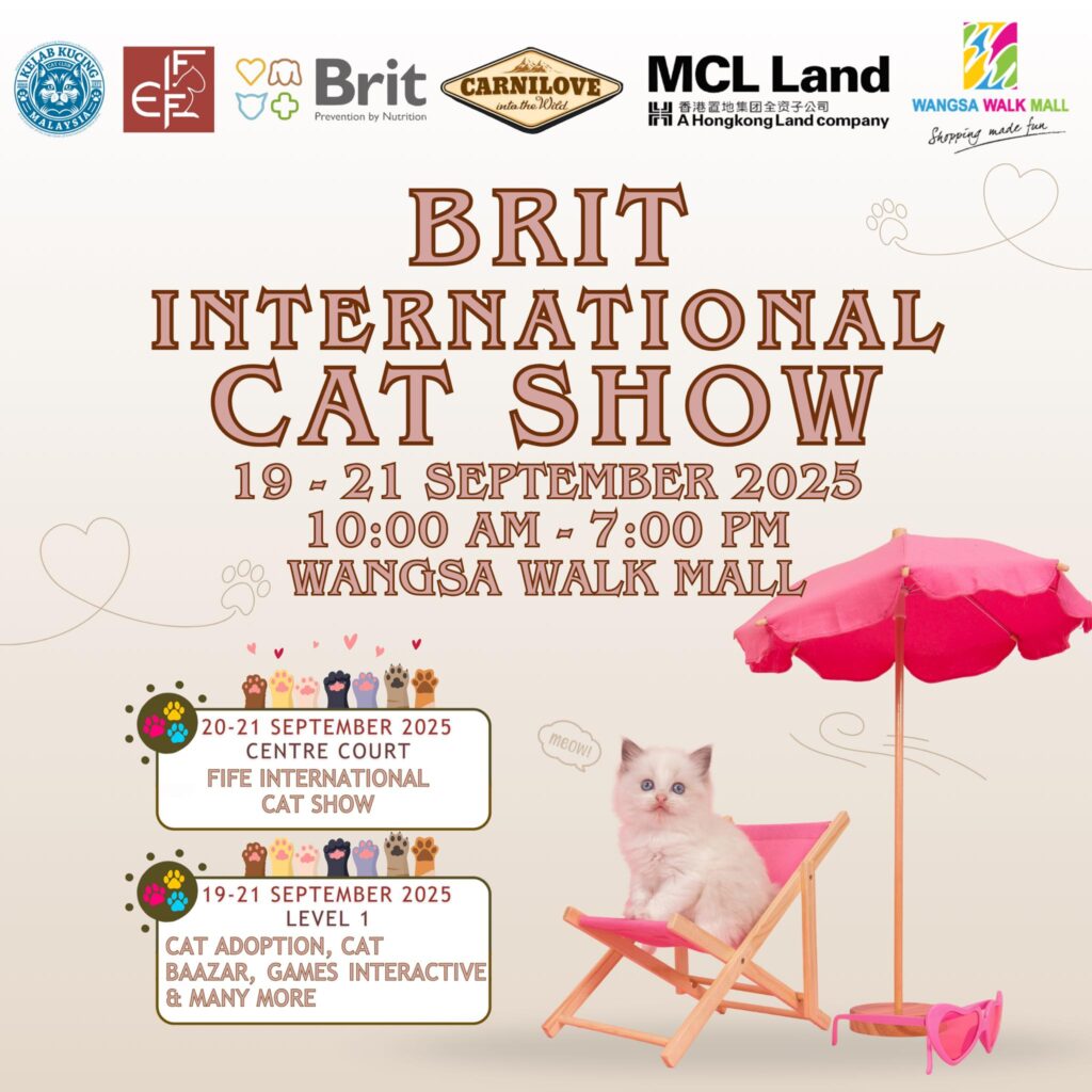dr meow event 2 poster