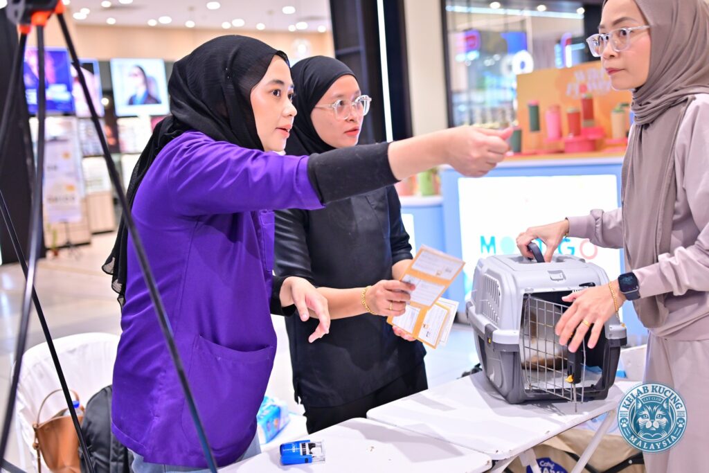 dr meow event 2 pic 6