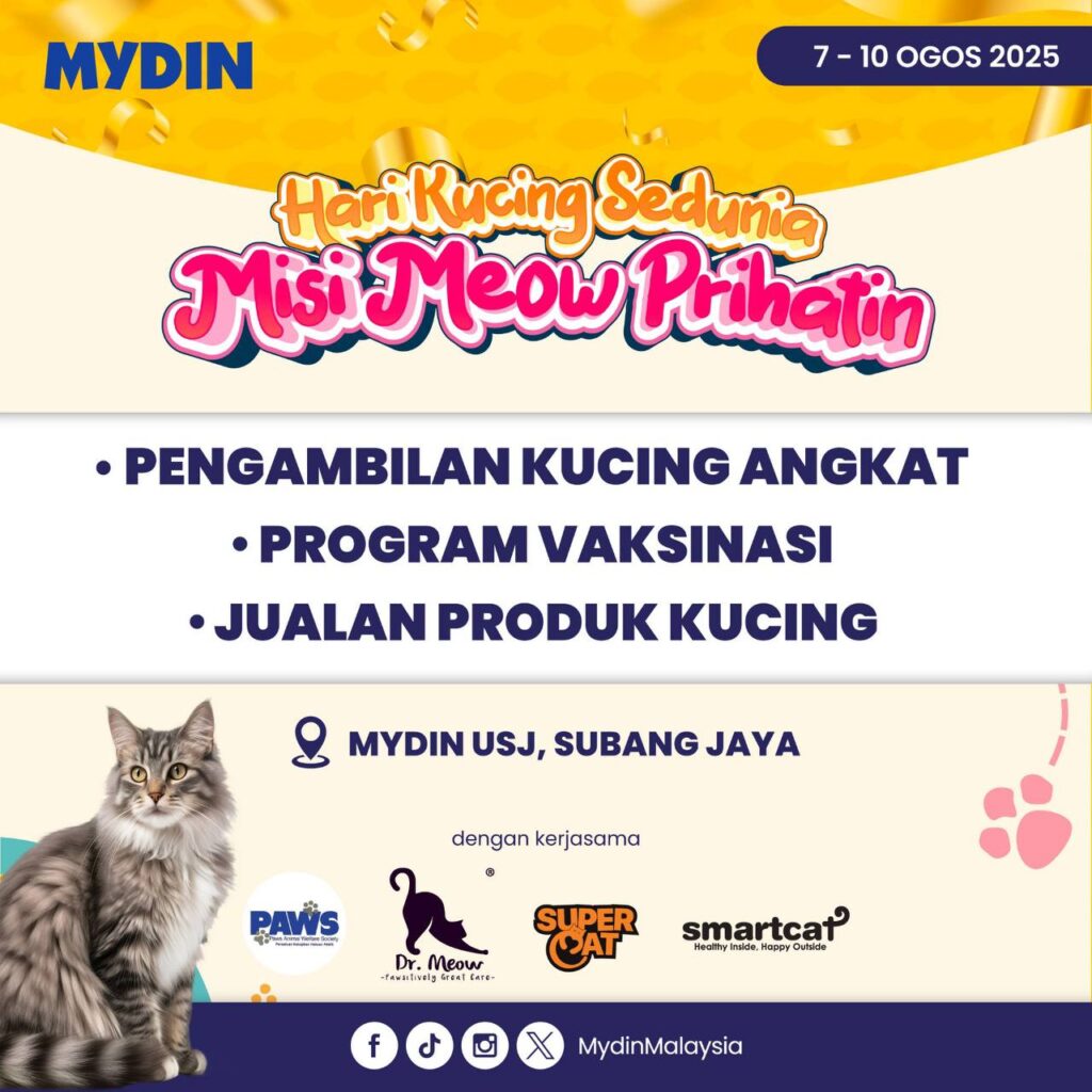 dr meow event 3 poster