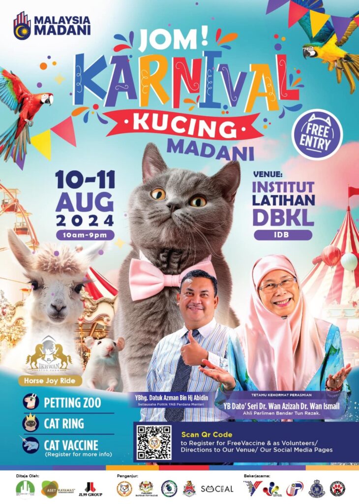 dr meow event 5 poster