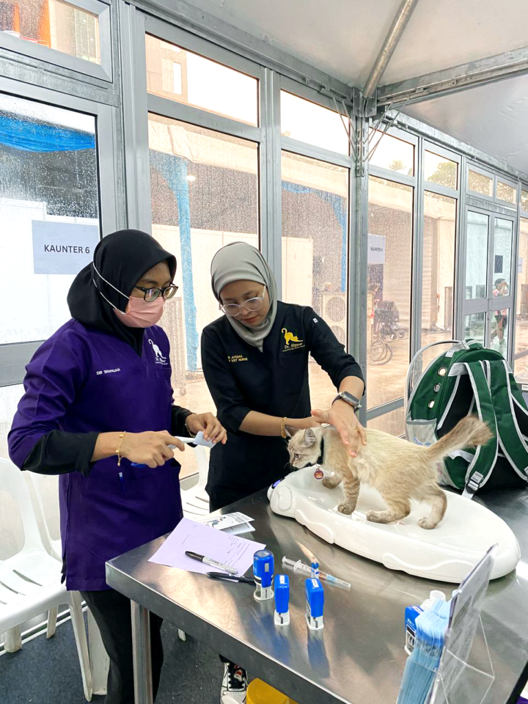 (ed) dr meow event 2 pic 4