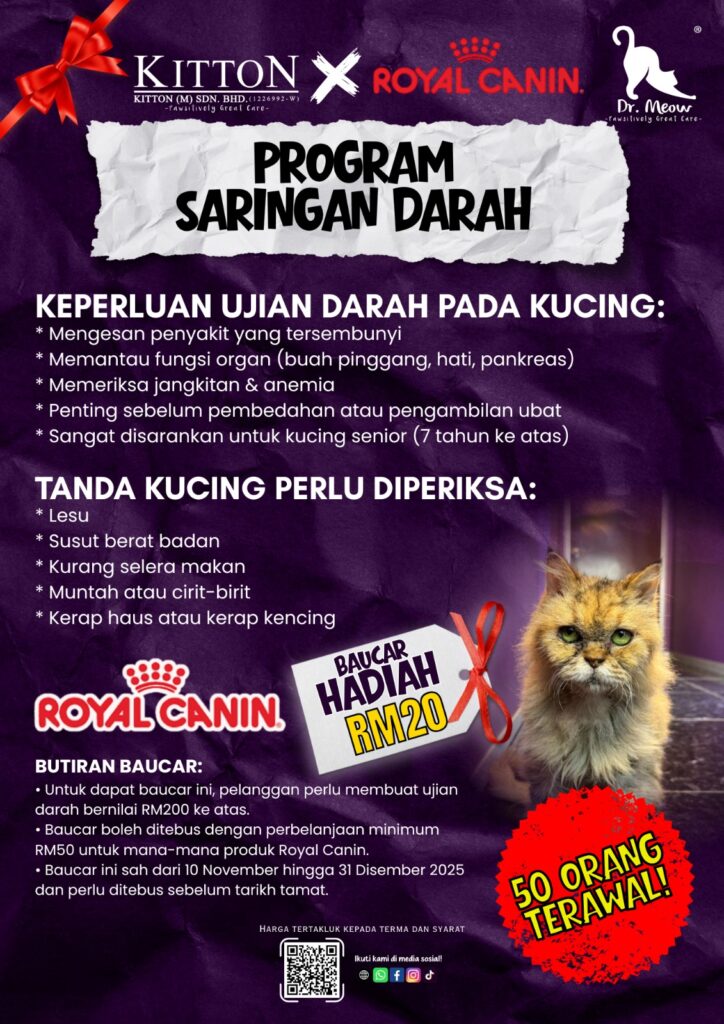 program poster