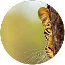 Home Ismarizan Ibrahim profile picture